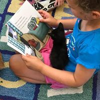 A child sits on a colorful rug and is reading a book with a black kitten in her lap.
