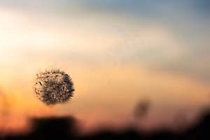 Blurred landscape with a sunset and a clump of dirt blowing in the air.