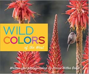 Book Cover for Wild Colors by Elaine Miller Bond.