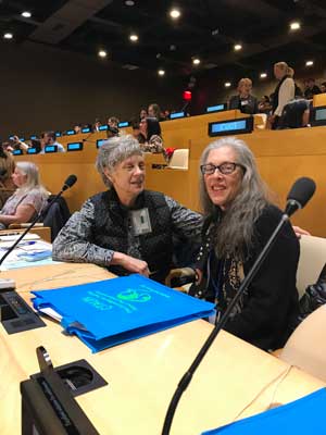 UN Report: CTAUN 2019 Focuses on Climate Crisis - WNBA-Books