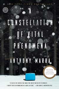 On the book cover for A Constellation of Vital Phenomena, the ground is white with a bright blue suitcase sitting on it. The sky is black with white blurry circles falling.